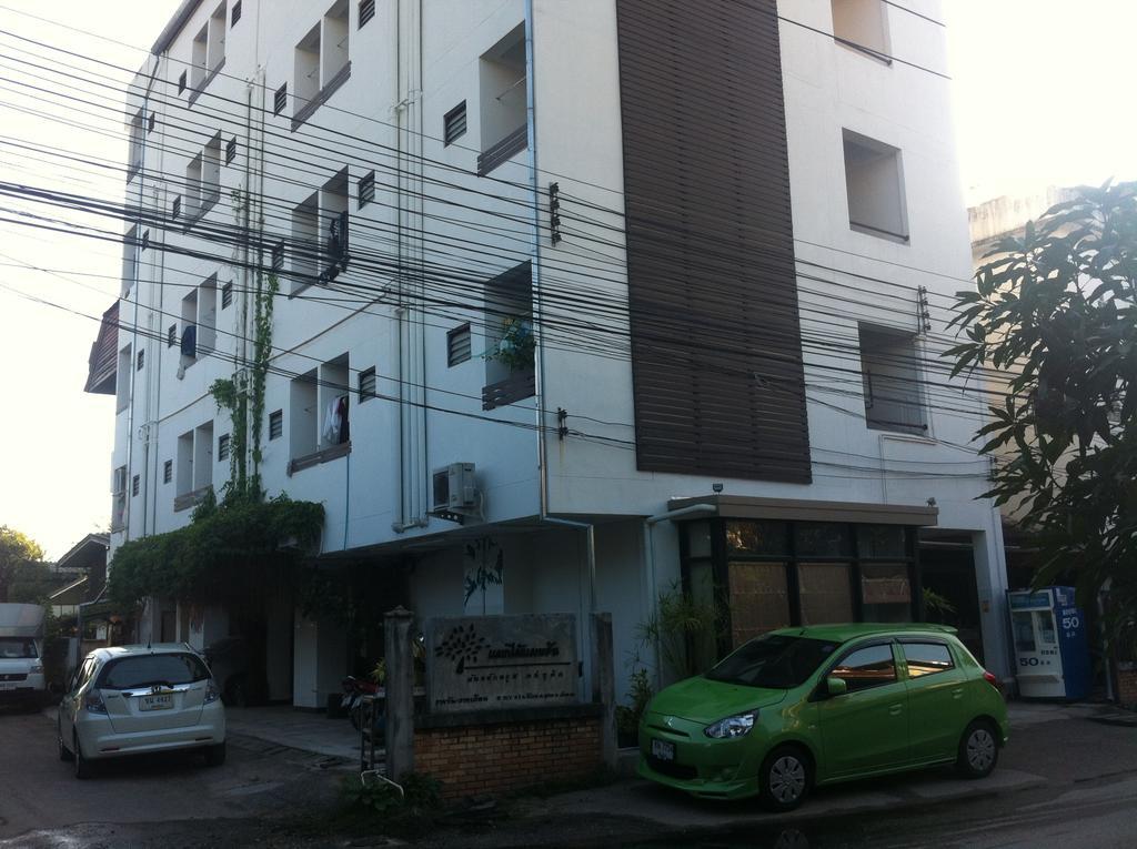 Chiangmai Tree Hostel Чиангмай Экстерьер фото